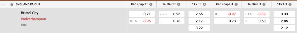 Bảng kèo Bristol City vs Wolves